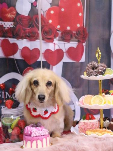 20250211こはるちゃん